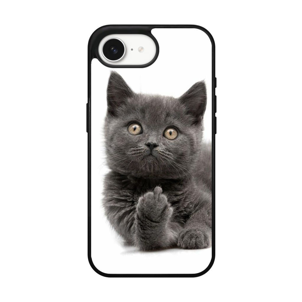 Finger British Shorthair Cat iPhone 16e Case